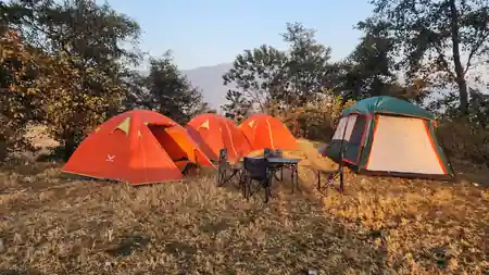 Bardiya Forest Camp